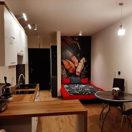 Apartament Pod Szyndzielnia, Debowiec Bielsko-Biala Exterior photo